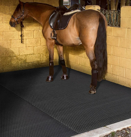 1m x 1m x 17mm Gym Mat Edge Corner Size 10cm x 60cm