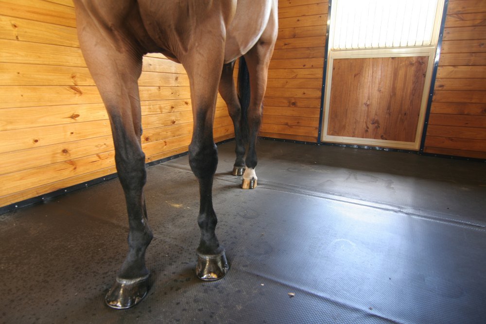 Choosing the Right Horse Mat and Stable Mat for Your Facility